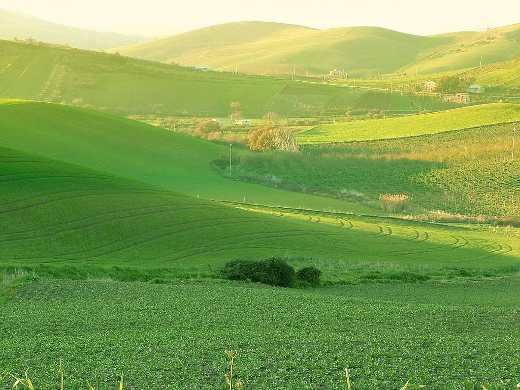 Agriturismo Ridocco Корлеоне Екстериор снимка
